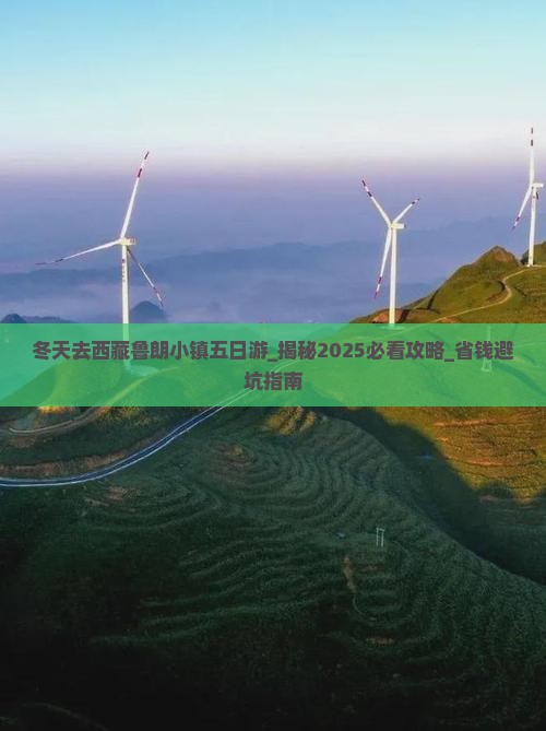 冬天去西藏鲁朗小镇五日游