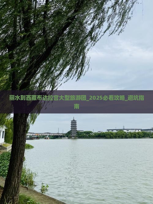 丽水到西藏布达拉宫大型旅游团