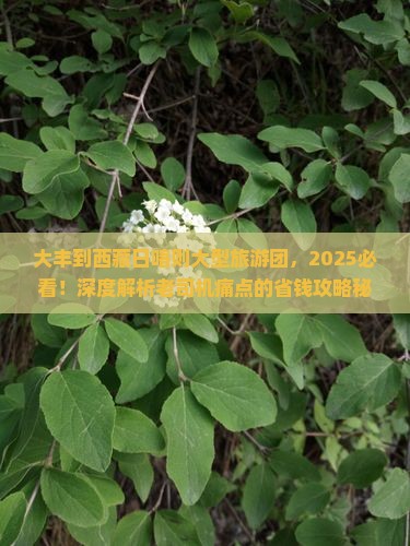 大丰到西藏日喀则大型旅游团