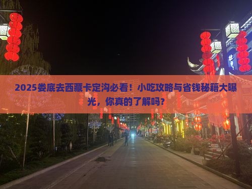 娄底去西藏卡定沟旅游小吃