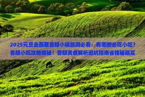 元旦到西藏鲁朗小镇旅游小吃