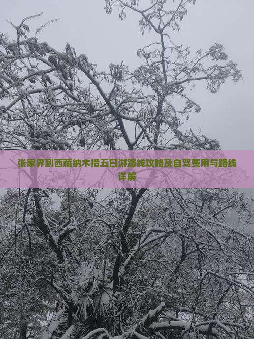 张家界到西藏纳木措五日游