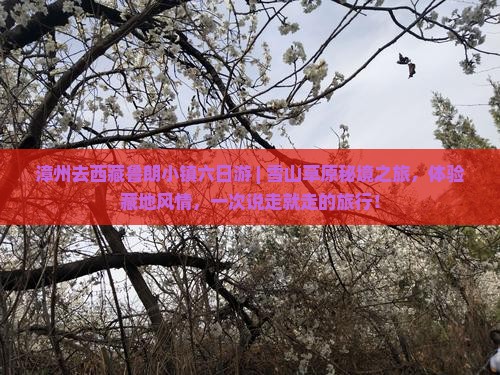 漳州去西藏鲁朗小镇六日游