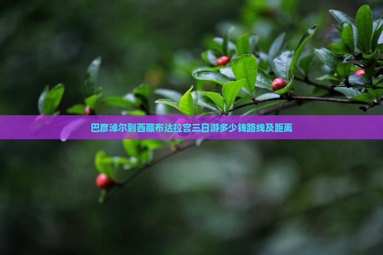 巴彦淖尔到西藏布达拉宫三日游