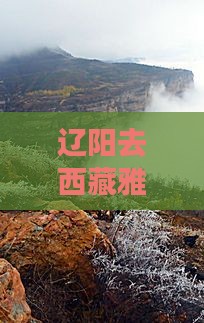 辽阳去西藏雅鲁藏布大峡谷六日游 辽阳去西藏雅鲁藏布大峡谷六日游