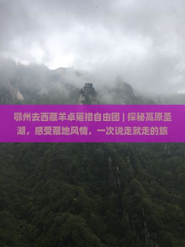 鄂州去西藏羊卓雍措自由团