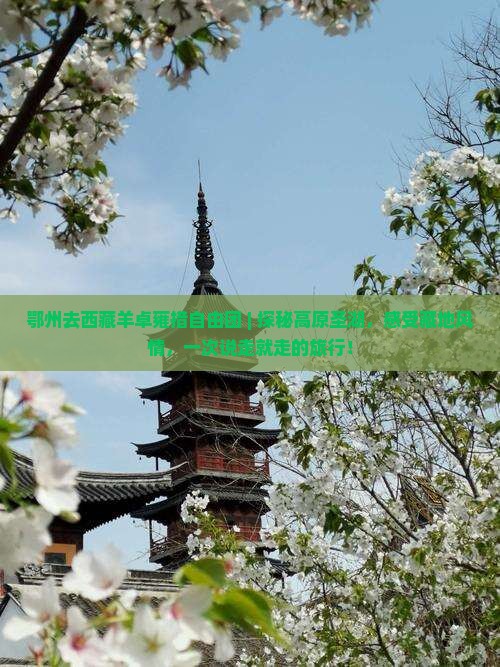 鄂州去西藏羊卓雍措自由团