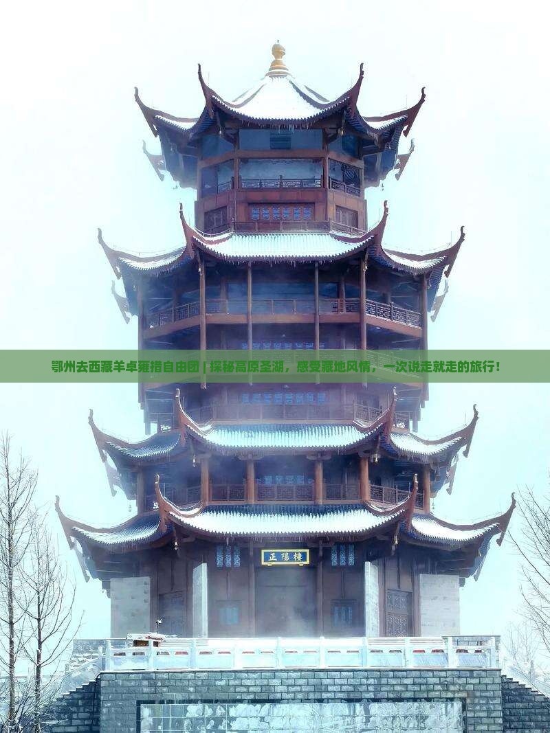 鄂州去西藏羊卓雍措自由团