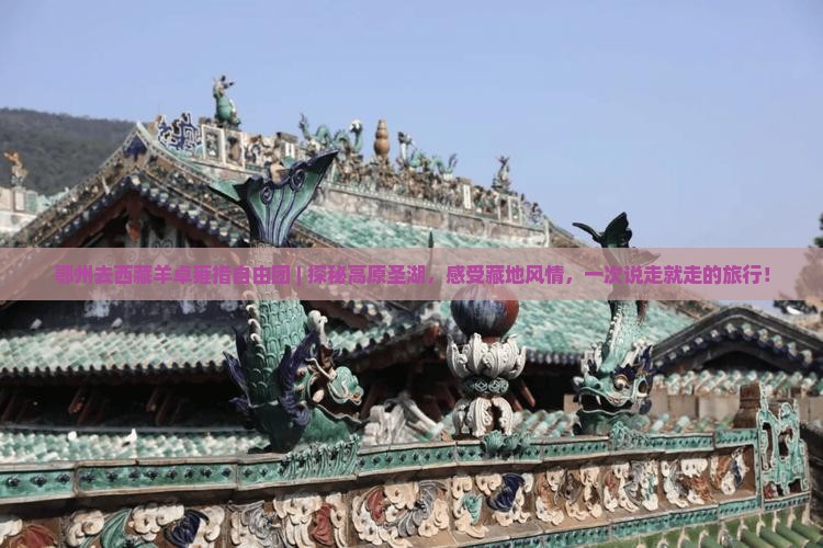鄂州去西藏羊卓雍措自由团