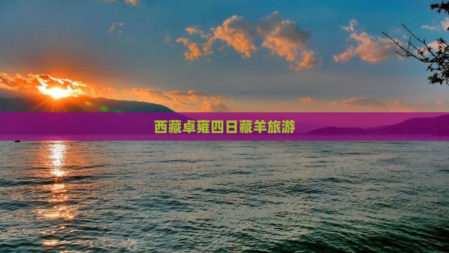 劳动节去西藏羊卓雍措四日游