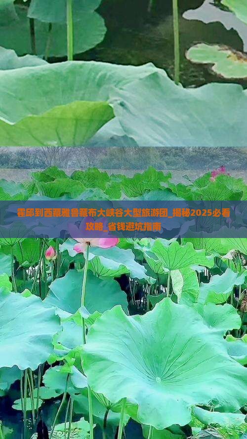 霍邱到西藏雅鲁藏布大峡谷大型旅游团