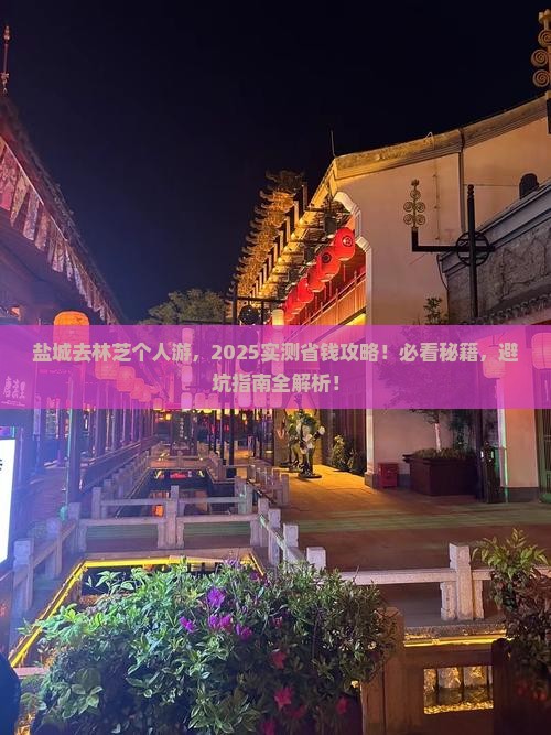 盐城去西藏林芝个人游