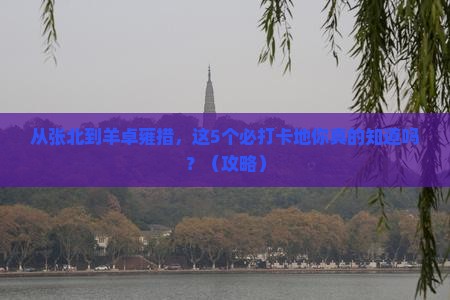 张北去西藏羊卓雍措必去地