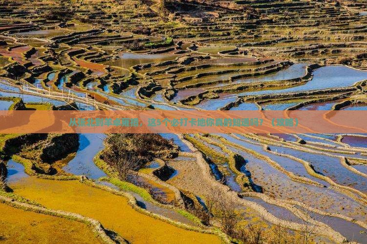 张北去西藏羊卓雍措必去地
