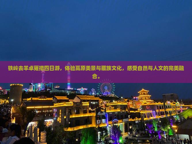 铁岭去西藏羊卓雍措四日游