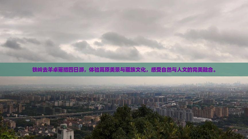 铁岭去西藏羊卓雍措四日游
