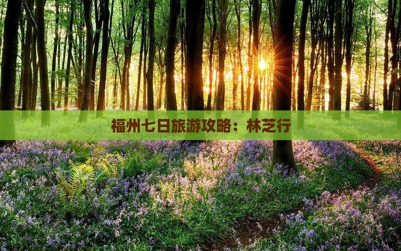 福州去西藏林芝七日游