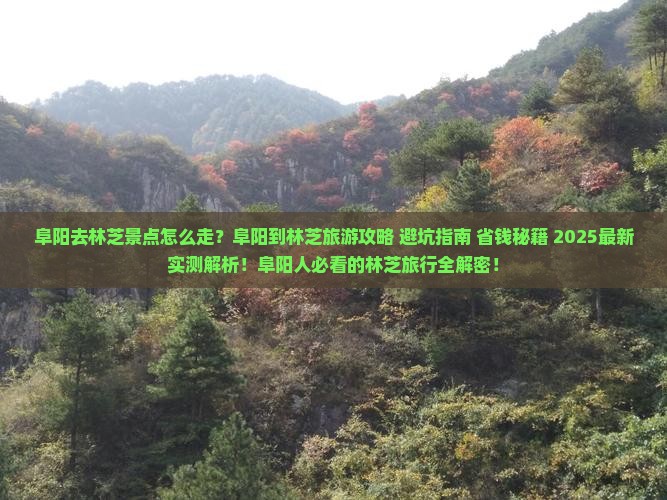 阜阳去西藏林芝景点