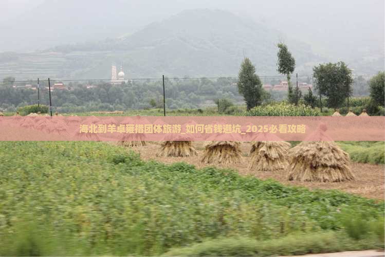 海北到西藏羊卓雍措团体旅游