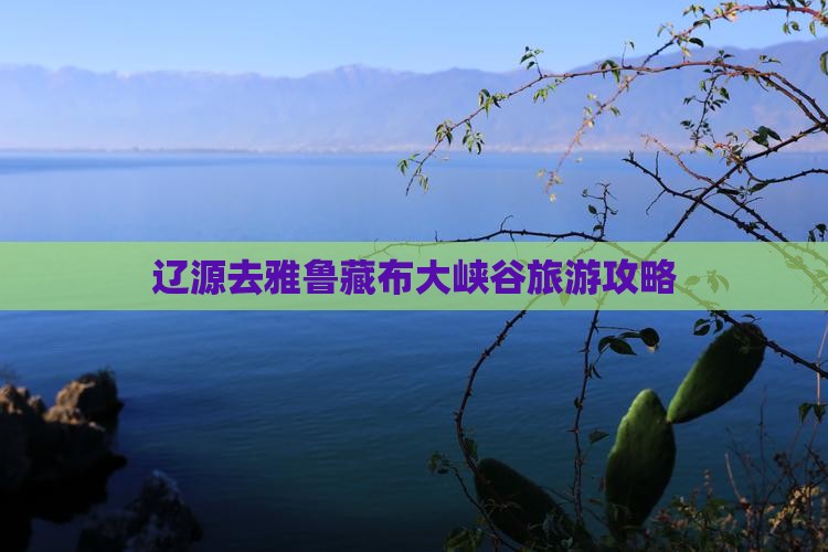 辽源去西藏雅鲁藏布大峡谷攻略