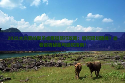 大兴安岭到西藏羊卓雍措旅行社