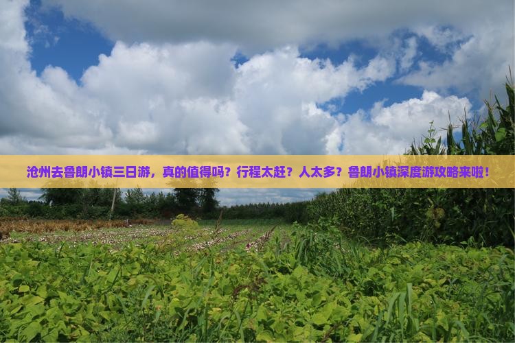 沧州去西藏鲁朗小镇三日游