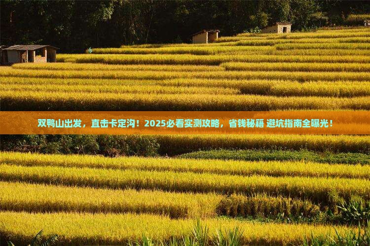双鸭山去西藏卡定沟自由团