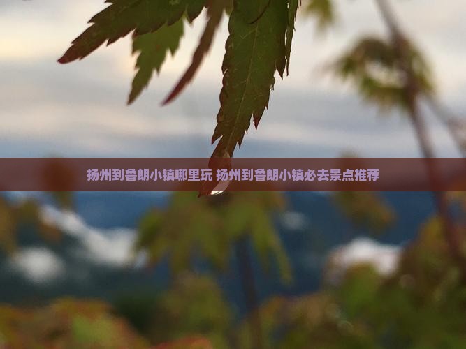 扬州到西藏鲁朗小镇哪里玩