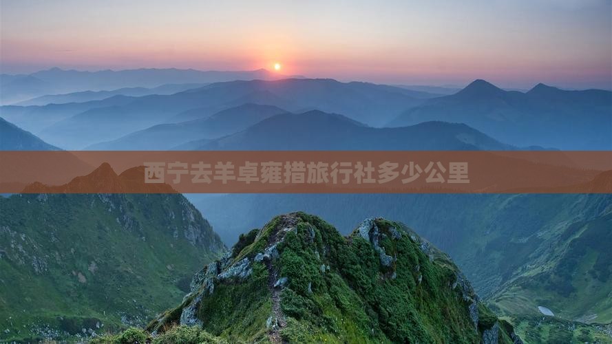 西宁去西藏羊卓雍措旅行社
