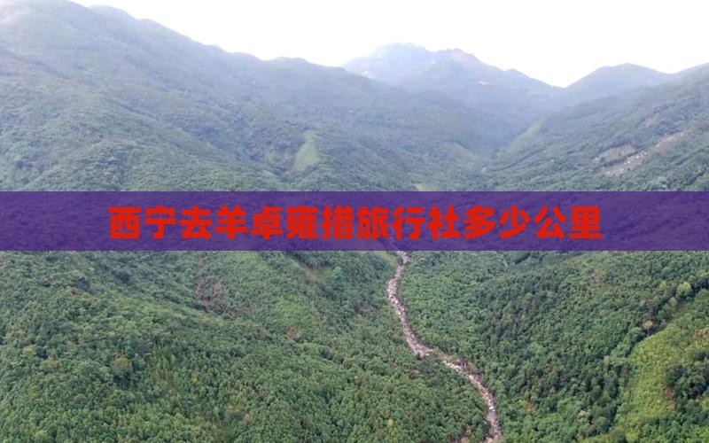 西宁去西藏羊卓雍措旅行社