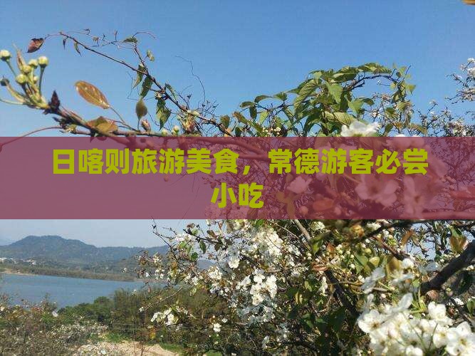 常德去西藏日喀则旅游小吃