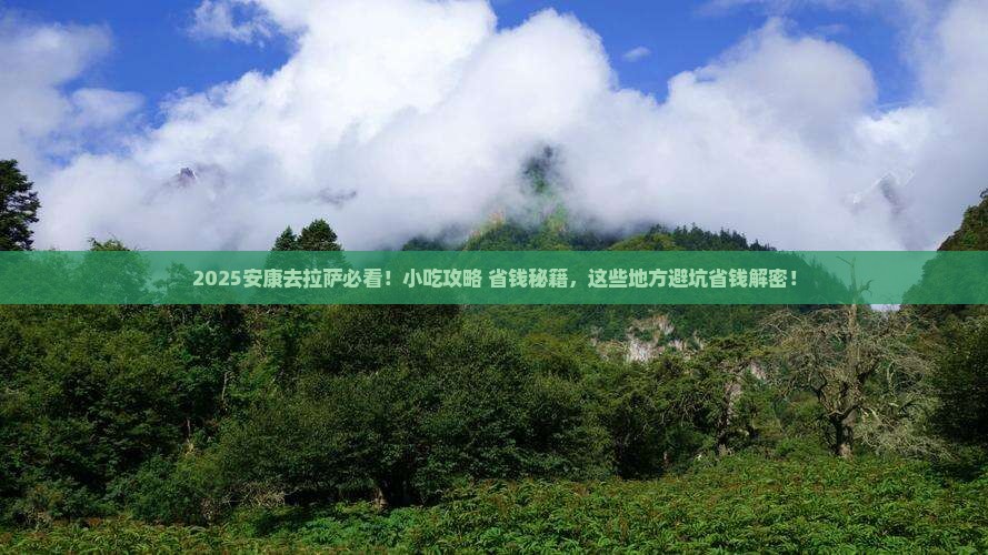安康去西藏拉萨旅游小吃