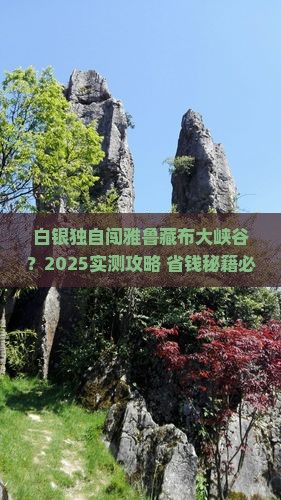白银去西藏雅鲁藏布大峡谷个人游