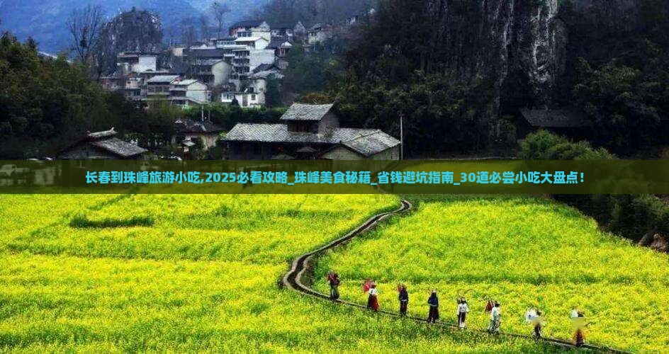 长春到西藏珠峰大本营旅游小吃 长春到西藏珠峰大本营旅游小吃