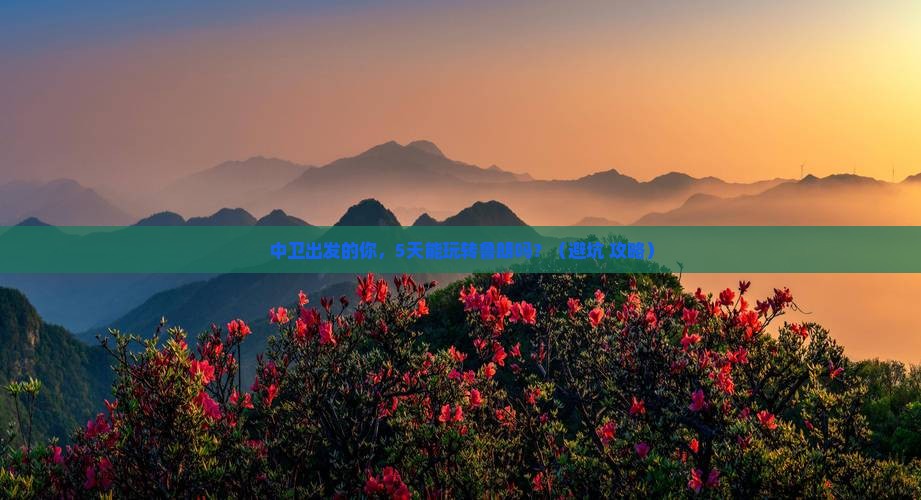 中卫到西藏鲁朗小镇团体旅游