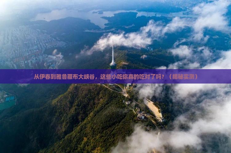 伊春去西藏雅鲁藏布大峡谷旅游小吃
