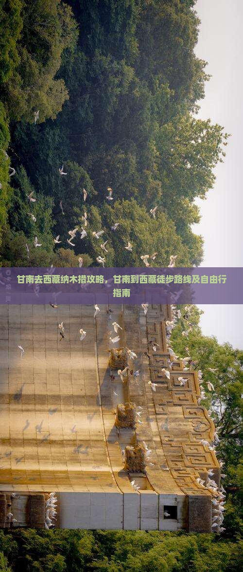 甘南去西藏纳木措攻略