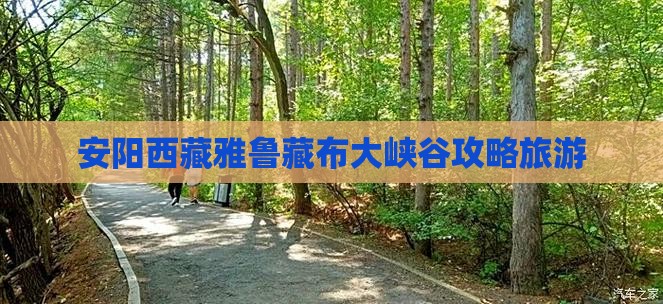 安阳去西藏雅鲁藏布大峡谷自由行