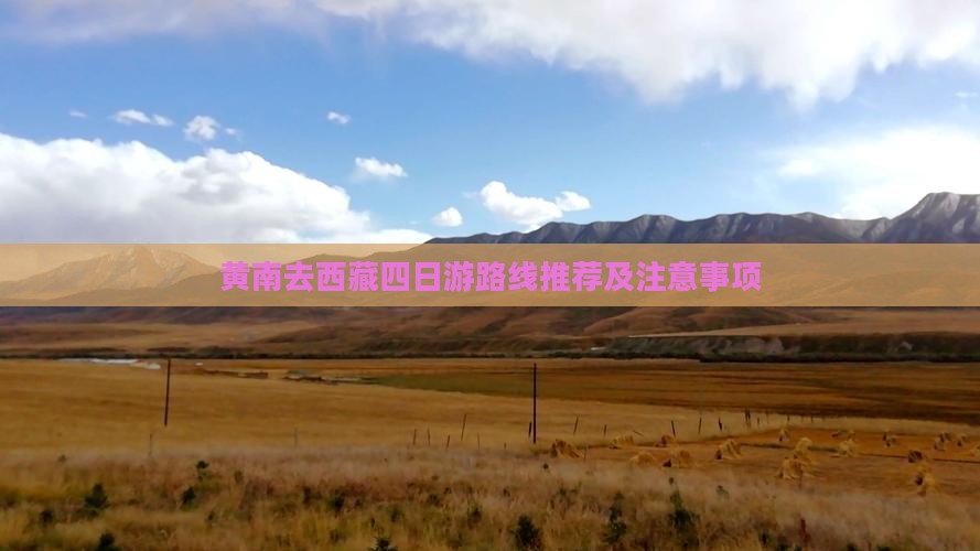 黄南去西藏四日游