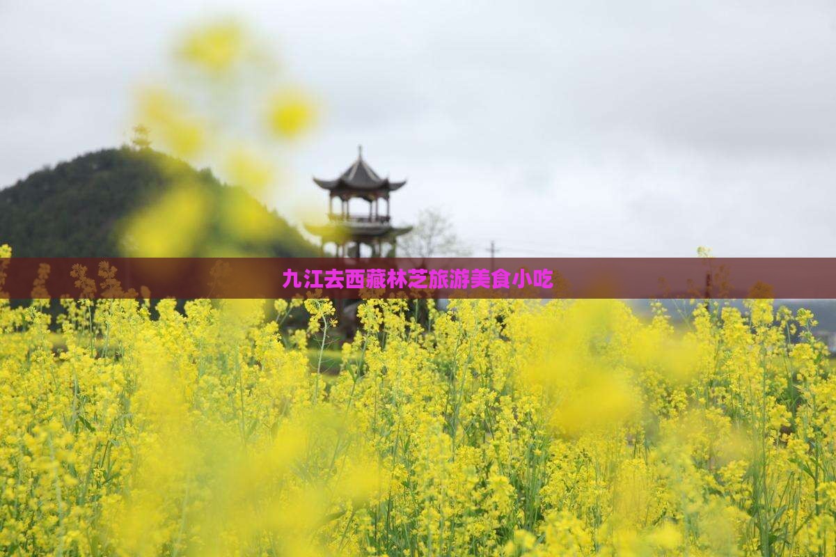 九江去西藏林芝旅游小吃