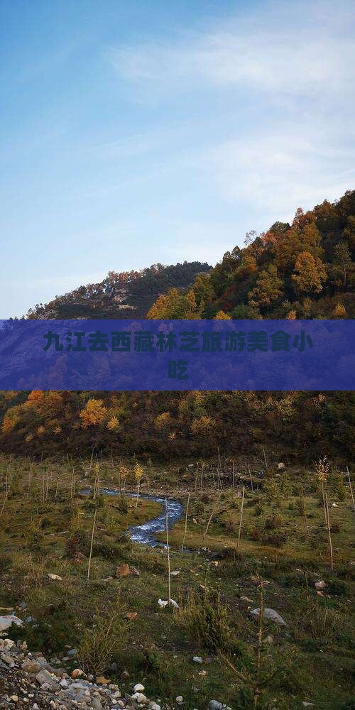 九江去西藏林芝旅游小吃