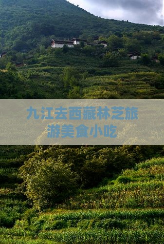 九江去西藏林芝旅游小吃