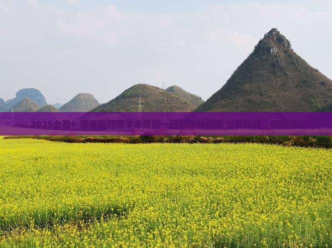 酒泉到西藏羊卓雍措一日