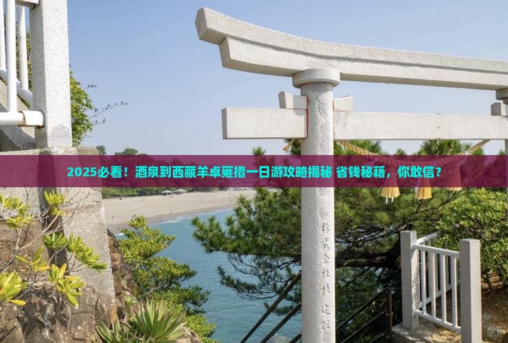 酒泉到西藏羊卓雍措一日