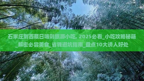 石家庄到西藏日喀则旅游小吃