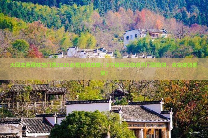 大同去西藏林芝门票
