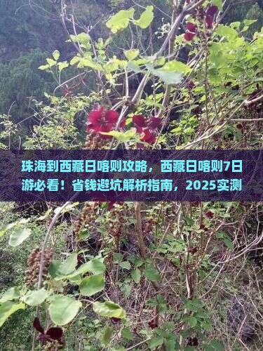 珠海到西藏日喀则攻略