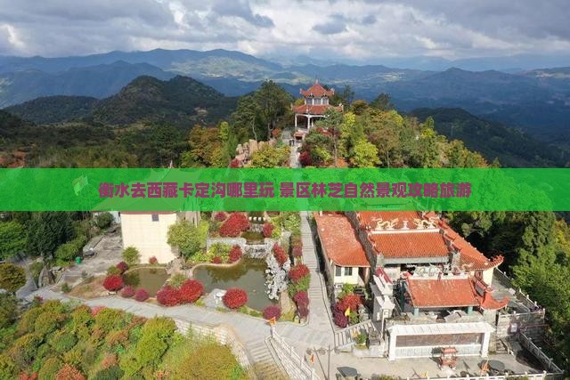 衡水去西藏卡定沟哪里玩