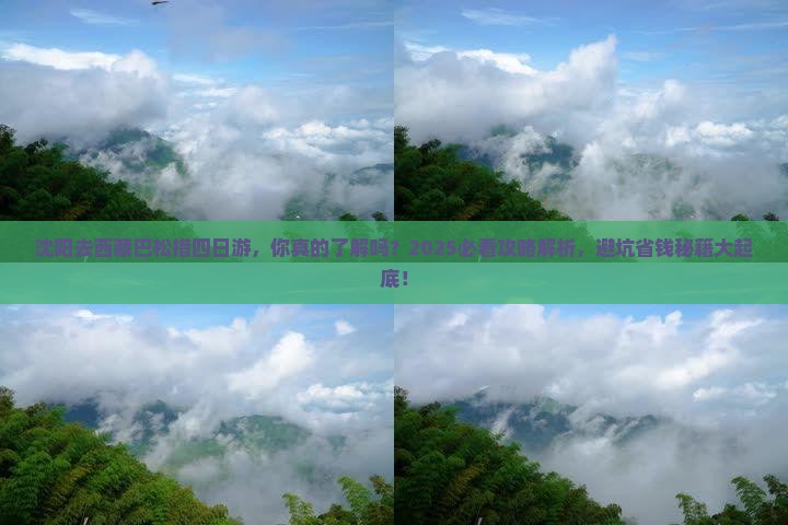 沈阳去西藏巴松措四日游