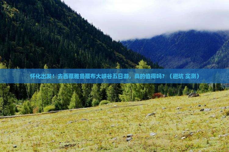 怀化去西藏雅鲁藏布大峡谷五日游